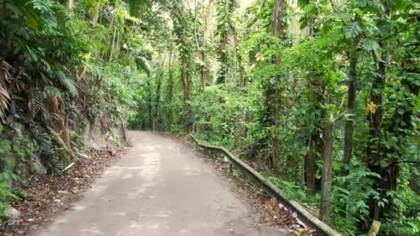 Slow motion walking down a curved road in Ocho Rios with trash littering side of road and damaged guard rail on other on tropical island of Jamaica with lush green foliage, trees and vines. — Stock Video