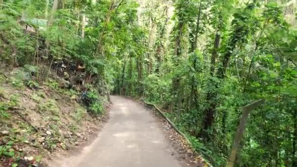 Caminhando por uma estrada pavimentada curva em Ocho Rios com lixo do lado da estrada e trilhos danificados no outro na ilha tropical da Jamaica com folhagem verde exuberante, árvores e vinhas que revestem a estrada . — Vídeo de Stock