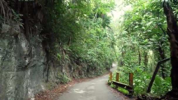 Walking down curved paved road in Ocho Rios with steel posts and guard rail on one side and rocky cliff on other on tropical island of Jamaica with lush green foliage trees and vines lining road. — Stock Video
