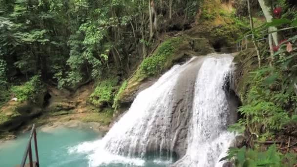 Úchvatný pohled na populárně svažovaný vodopád zpoza některých květin a vegetace v nádherné modré díře tropické vodopády a bazény v Ocho Rios Jamajce. — Stock video