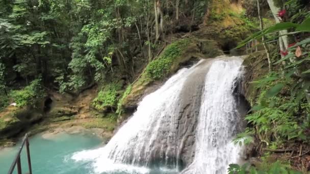 Eine Zeitlupenaufnahme des beliebten abschüssigen Wasserfalls von hinten mit Blumen und Vegetation an den wunderschönen, blauen Tropenwasserfällen und Schwimmbädern in ocho rios jamaica. — Stockvideo
