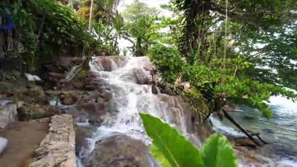 人気の休暇先であるジャマイカの熱帯の島の前景にある緑豊かな大きな葉の植物に覆われたカメラを持つリトルダンの川のカスケード滝の美しいウォーキングビュー. — ストック動画