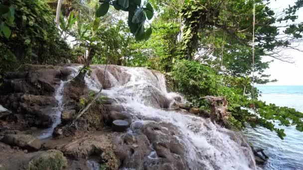 Yavaş hareket görünümü Jamaika popüler bir seyahat hedef tropik adada Ocho Rios yemyeşil bitki örtüsü, kayalık nehir ve whitewater rapids ile Little Dunn nehri şelale aşağı panning. — Stok video