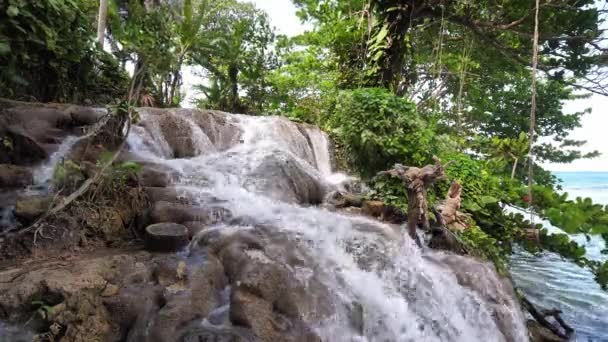 Prachtig uitzicht op de trapsgewijze waterval bij Little Dunn's River Falls met weelderige vegetatie en bomen die de zee in Ocho Rios op het tropische eiland Jamaica aflegen, een populaire reisbestemming. — Stockvideo