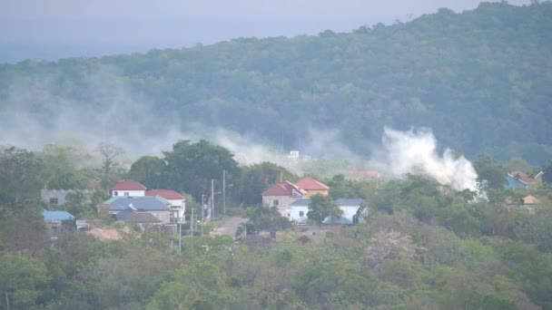 Ocho Rios, Jamaïque - 30 mars 2019 : La fumée blanche monte au-dessus des arbres et des toits d'un incendie près d'un quartier résidentiel et s'éloigne tôt un samedi matin paisible . — Video