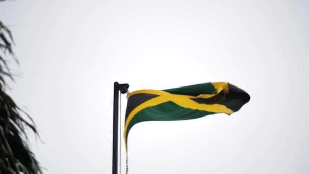緑、黄、金、黒のジャマイカの旗を見上げて、灰色の空を持つ近くの木に囲まれたボロボロまたは風化したエッジで風になびくスローモーション. — ストック動画
