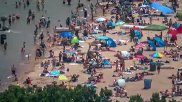 Chicago, IL - 4 Juli 2019: Massa membungkus pasir untuk berjemur dan bermain voli dan air Danau Michigan untuk berenang dan mendinginkan diri pada hari libur mereka di pantai Foster pada hari musim panas yang cerah dan indah . — Stok Video