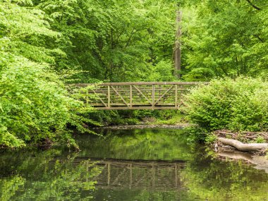 Orman veya ormandan gelen yemyeşil yapraklarla çevrili sakin suya yansıyan New York'taki bir nehir veya göletin karşısından çelik ve ahşap tahta köprüye bakan bir manzara.