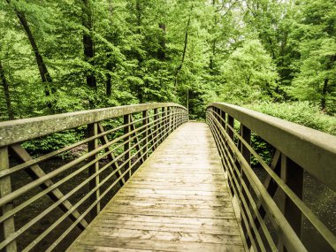 Yemyeşil bir orman yolunun ortasında bir nehir üzerinde tahta ile çelik köprü üzerinde yürüyen bir görünüm.