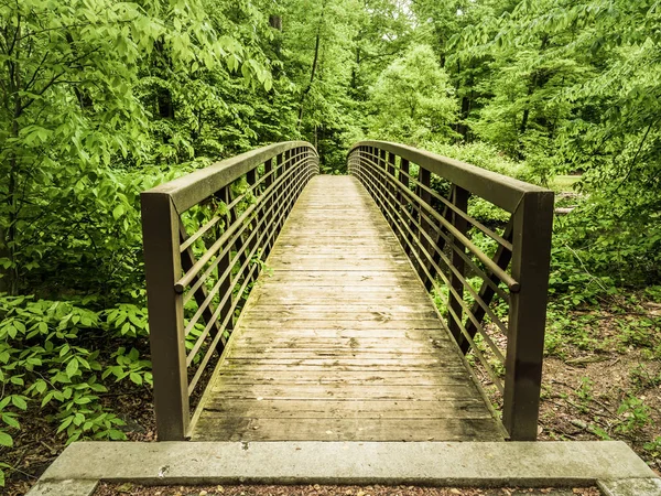 A view looking straight across a steel and wood plank bridge over a river from a black top paved pedestrian and bike path in the middle of the forest.