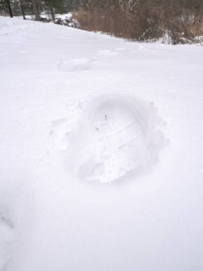 Taze bir insan çizme ayak izi ötesinde arka planda ağaçlar ve fırça ile Wisconsin kışın yerde yeni beyaz kabarık kar yapılmış.