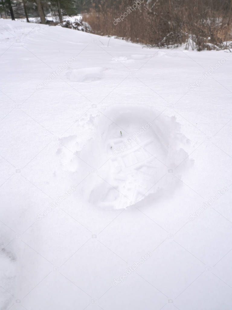 A fresh human boot footprint made in new white fluffy snow on the ground in winter in Wisconsin with trees and brush in background beyond.