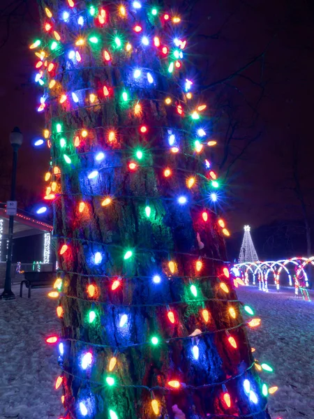 Multicolored LED Christmas string lights wrap the trunk of a tree with arched walkways in the background at a holiday lights festival display.