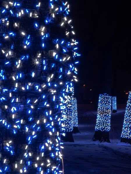 Las Luces Navidad Led Blancas Azules Envuelven Tronco Los Árboles — Foto de Stock