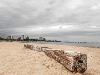 İnsanlar gölün ötesinde voleybol oynarken, kumsalda çatlaklarla ve kumlara gömülmüş kahverengi renklerle uzanan yıpranmış ahşap bir parça ya da büyük ahşap kirişin yakın görüntüsü.
