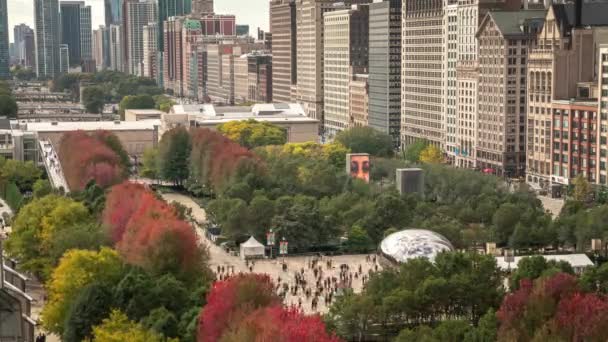 Chicago, IL 19 oktober 2019: Hundredvis af mennesker sværmer omkring Millennium Park Cloud Gate Skulptur, AKA bønnen som det omkringliggende træ løv begynder at vende efteråret farver . – Stock-video