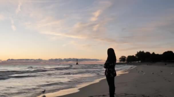 Eine schöne afrikanisch-amerikanische Frau mit lockigem oder welligem dunklem Haar, die am Rande des Wassers steht und beobachtet, wie Wellen während eines farbenfrohen Sonnenaufgangs in den Sandstrand rollen. — Stockvideo