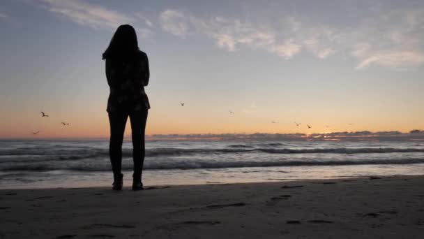 Una silueta de una mujer de pie en el borde de una playa de arena mirando el agua del lago mientras las gaviotas vuelan sobre el agua al amanecer con nubes de color naranja y azul en el cielo por encima del horizonte . — Vídeo de stock