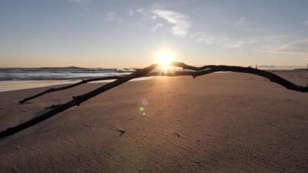 Apaisante casserole paisible au ralenti se levant lentement de gauche à droite d'une branche ou d'un bâton au premier plan sur le sable d'une plage alors que le soleil brille sur l'eau et les vagues à l'horizon au-delà .