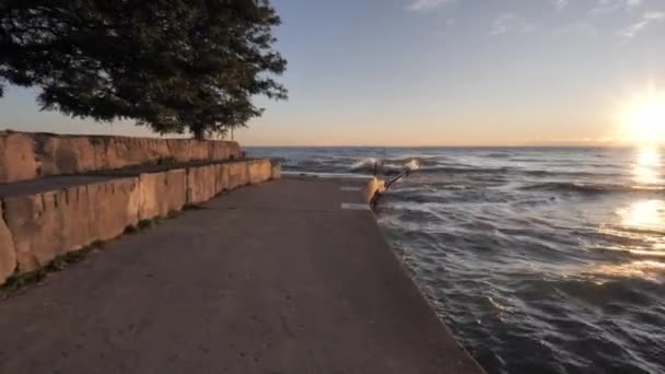 Clip portatile che cammina rapidamente lungo la costa rinforzata in calcestruzzo e calcare verso onde che si infrangono mentre una donna si siede all'estremità lontana per guardare l'alba sull'acqua . — Video Stock