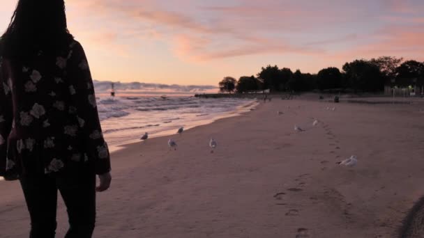 Um clipe de câmera lenta de uma bela mulher de etnia mista afro-americana andando por uma praia de areia no Lago Michigan, criando pegadas frescas enquanto um homem joga uma bola na água para seu cão além . — Vídeo de Stock