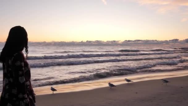 Um clipe de câmera lenta de uma mulher afro-americana em mangas compridas e jeans percorre o quadro enquanto a câmera se aproxima da borda do Lago Michigan à medida que as gaivotas passam pelas ondas ao nascer do sol . — Vídeo de Stock