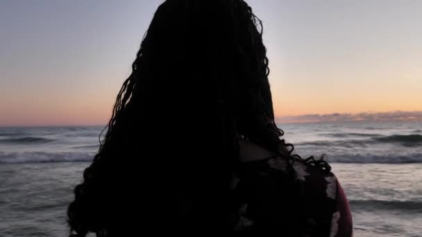 Vista de cerca de 360 círculo de una hermosa mujer afroamericana de raza mixta de pie en una playa a lo largo de la orilla del lago Michigan mirando hacia el amanecer como las olas rodar en . — Vídeos de Stock