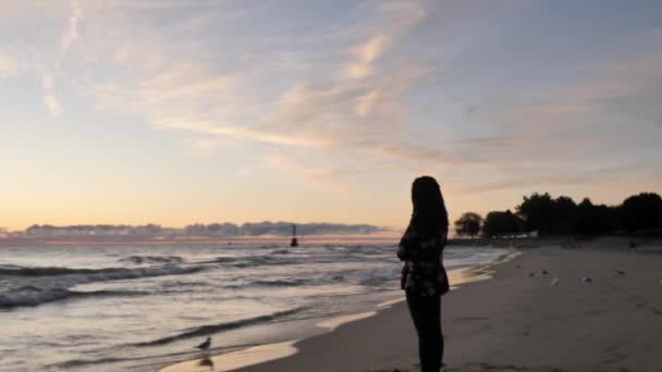 Går fram till en vacker blandras afroamerikansk kvinna står på sanden längs Lake Michigan stirrar ut på soluppgången när vågorna rullar in i stranden med måsar i närheten. — Stockvideo