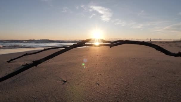 Kalmerende rustige slow motion pan langzaam opkomend van links naar rechts van een tak of plak op de voorgrond op het zand van een strand als de zon schijnt over het water en golven aan de horizon voorbij. — Stockvideo