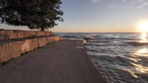Handheld-Clip in Zeitlupe, der an einer geschwungenen, mit Beton und Kalkstein verstärkten Küste entlang auf krachende Wellen zugeht, während sich eine Frau auf das andere Ende setzt, um den Sonnenaufgang über dem Wasser zu beobachten. — Stockvideo