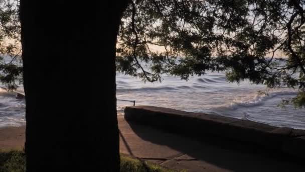 波や水に反射する太陽の動きの遅いパンニングクリップ女性が額に大きな木の幹で湖の正面に日の出を見て座っているとフレームを移行. — ストック動画