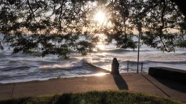 Panorámica de disparo pasando detrás de un árbol mirando a una mujer afroamericana de etnia mixta sentada en una cornisa de hormigón a lo largo del lago viendo las olas chocar contra la costa con el sol mirando a través de las ramas . — Vídeos de Stock