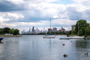 Chicago, IL - 23 Haziran 2020: Yelkenliler ve Kanada kazları Michigan Gölü 'ndeki Montrose Limanı' nın mavi sularında yüzerken bulutlar güzel güneşli bir yaz gününde gökdelenlerin üzerinde süzülüyor..