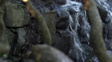 Su taşlı kaya yüzeyinden taşa doğru çağlarken ve ön planda bir ağaç dalı ile taşları ıslatırken bir şelale görüntüsünü yakından takip edin..