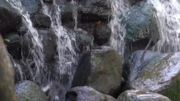 Vue panoramique vers le bas d'une belle cascade dans le Wisconsin alors que l'eau coule et éclabousse la surface rocheuse du rocher dans une rivière en dessous avec une branche d'arbre au premier plan.