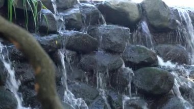 Su taşlı kaya yüzeyinden taşa doğru çağlarken ve ön planda bir ağaç dalı ile taşları ıslatırken bir şelalenin görüntüsünü yakın çekim yapın..