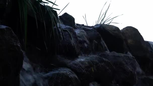 Wisconsin Deki Bir Şelalenin Kayalık Islak Yüzeyinden Süzülen Suyun Görüntüsünü — Stok video