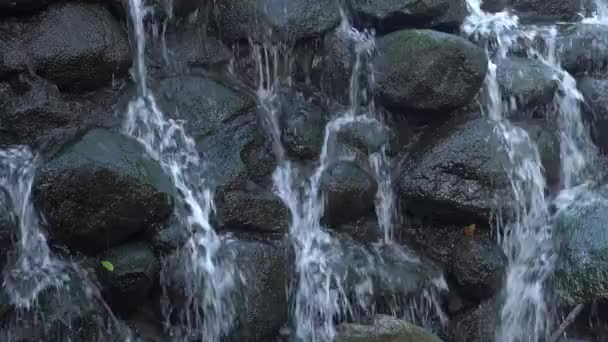 Nahaufnahme Eines Stationären Videos Von Einem Wasserfall Der Das Gesicht — Stockvideo