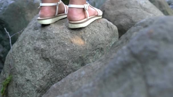 Vertikal Schwenkbare Aufnahme Einer Schönen Afroamerikanerin Die Auf Einem Felsbrocken — Stockvideo