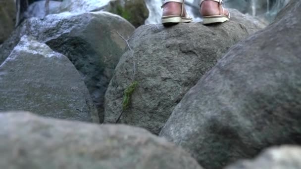 Şelalenin Önündeki Kayanın Üzerinde Duran Güzel Bir Afrikalı Amerikalı Kadının — Stok video