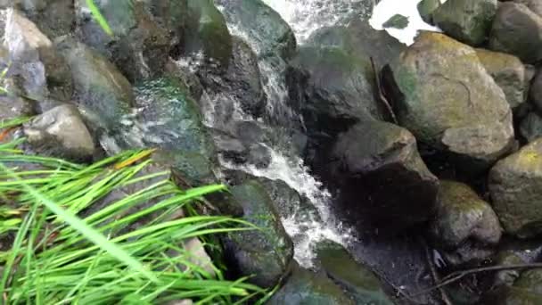 Close Vista Panning Sobre Homem Pequeno Fez Cachoeira Com Grama — Vídeo de Stock