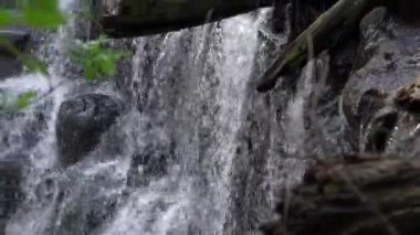 Bir şelalenin tepesini yakından görmek kayalıkların kenarından sarkan dallar ve kütüklerle su aşağıdaki nehre taşarken..
