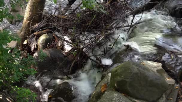 Vista Olhando Para Baixo Sobre Borda Penhasco Cachoeira Para Emaranhado — Vídeo de Stock