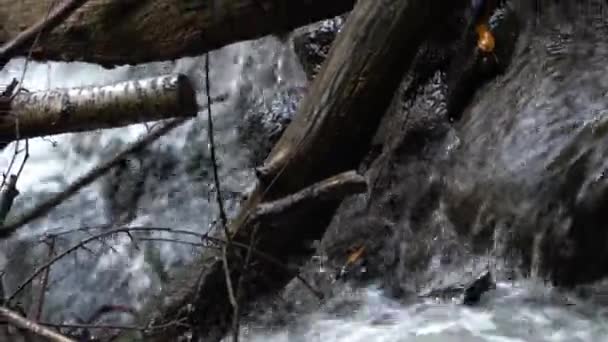 俯瞰瀑布顶部的近景 瀑布上挂着树枝和圆木 瀑布边悬着水 瀑布滑向下游的河流 — 图库视频影像
