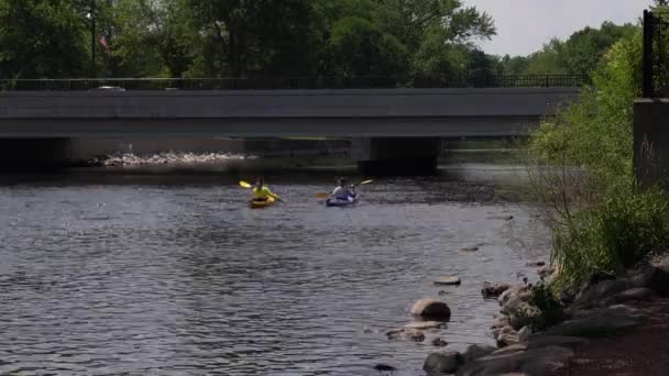 Waterford Lipca 2020 Dwie Kobiety Wiosłują Kajakami Fox River Pobliżu — Wideo stockowe