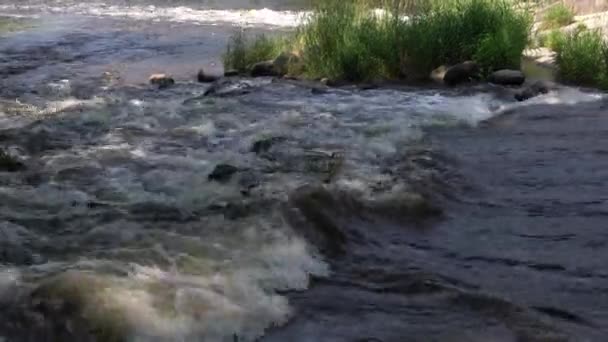 Close Van Stroomafwaarts Stromende Stroomversnellingen Met Rotsen Rotsblokken Hoog Groen — Stockvideo