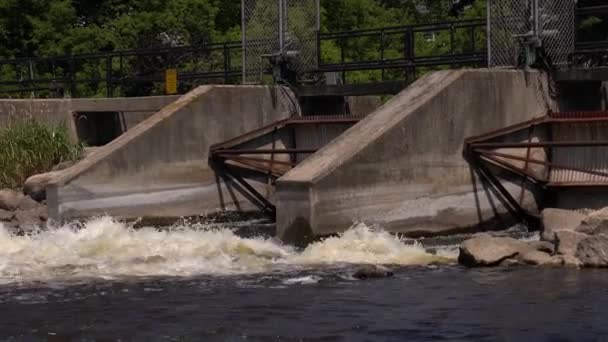 Burlington Wisconsin Juillet 2020 Eau Jaillit Travers Barrage Fox River — Video