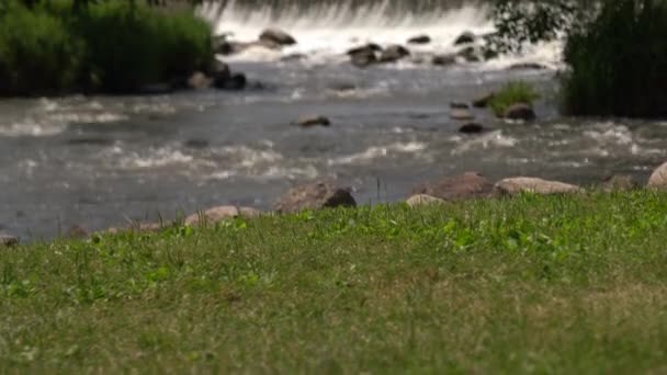 Panning Shot Zaczynając Trawy Brzegu Rzeki Kierunku Windy Zbożowej Lub — Wideo stockowe