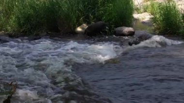 Beyaz su akıntılarının akıntısını kapatın. Kayalar, kayalar ve arka planda uzun yeşil çimenler var. Burlington 'daki Case Eagle Park Barajı' nın karşı tarafında..