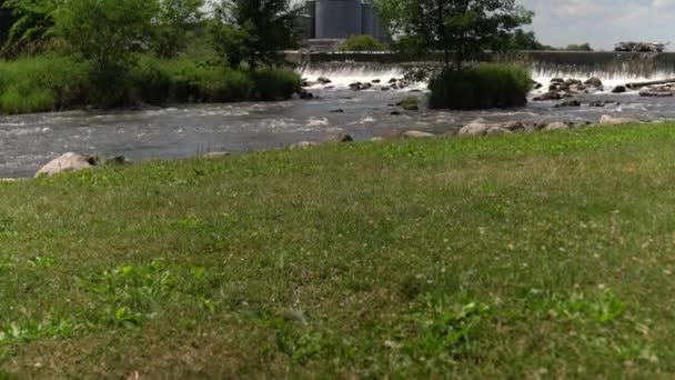 ウィスコンシン州の川のダムを作った男の背景にある穀物エレベーターやサイロに向かって川の岸の草の上で撮影されました — ストック動画